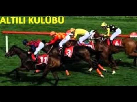 Horse türk at yarışı tahmini